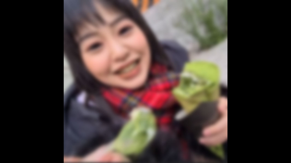 FC2PPV 4146984 [Facial Appeara…