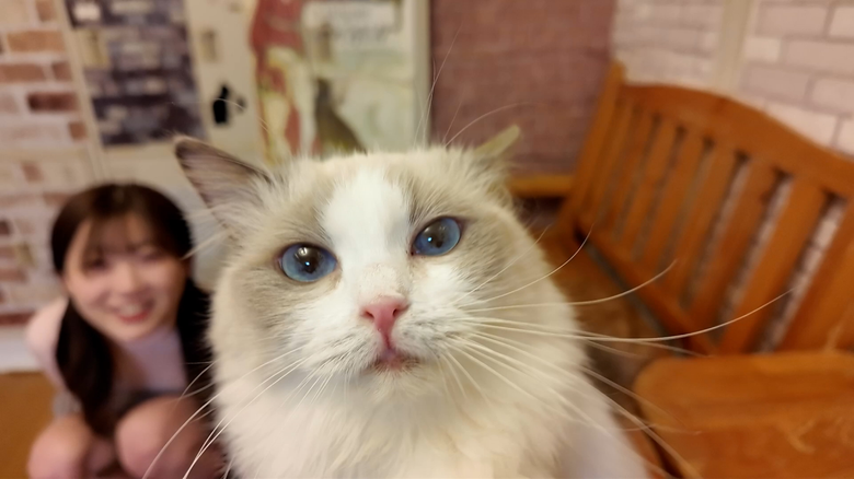 FC2PPV-4511406 *Too cute, supe…